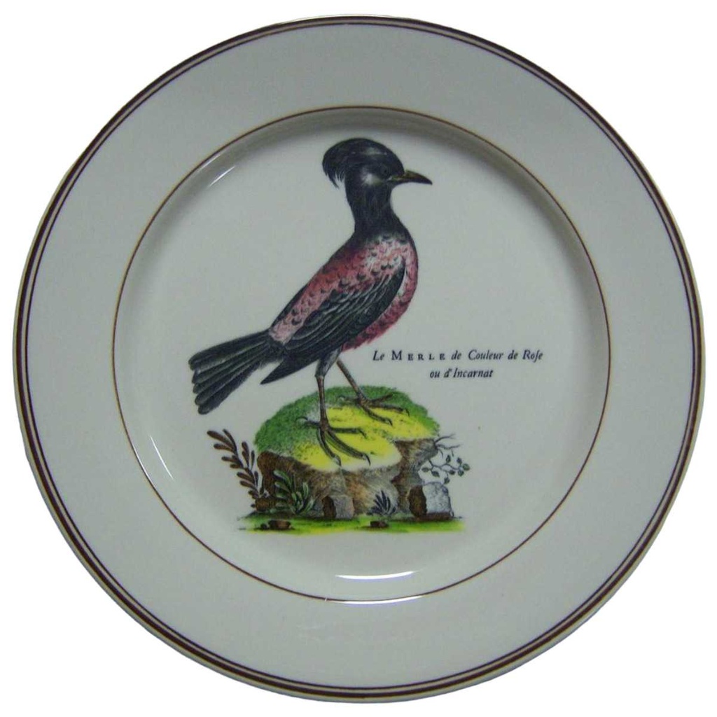[16080800214] Wandteller Villeroy & Boch Paradiso gebraucht - gut