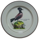Wandteller Villeroy & Boch Paradiso gebraucht - gut