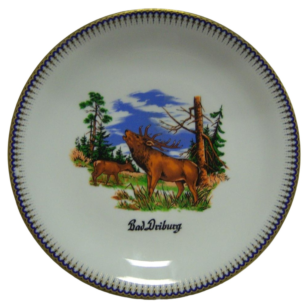 [16080900220] Johann Seltmann Vohenstrauss Wandteller Bad Driburg D 24,2 cm