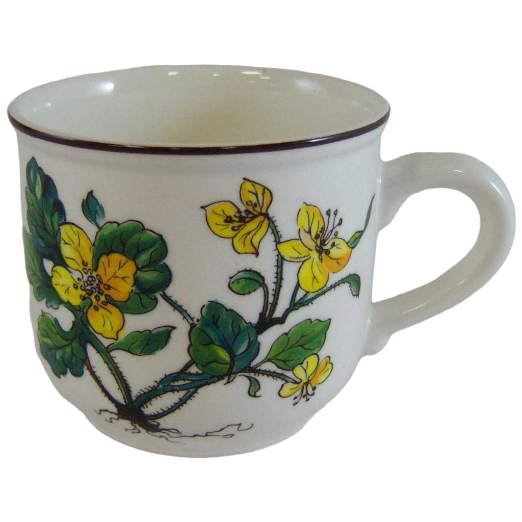 [161025163] Mokkatasse Tasse Espressotasse Villeroy & Boch Botanica I.Wahl gebraucht - sehr gut