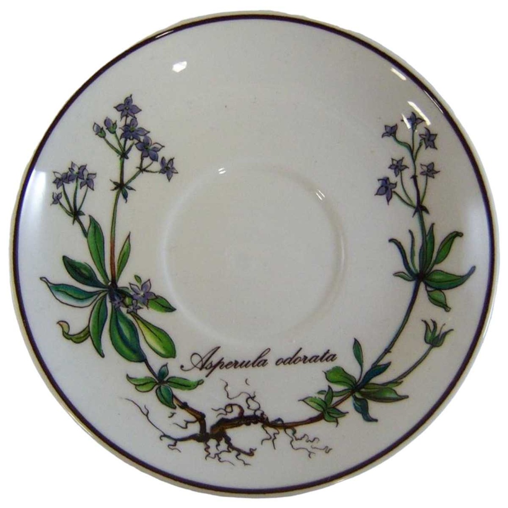 [161025164] Untertasse für Mokka 12 cm Villeroy & Boch Botanica I.Wahl gebraucht - sehr gut