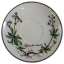 Untertasse für Mokka 12 cm Villeroy & Boch Botanica I.Wahl gebraucht - sehr gut
