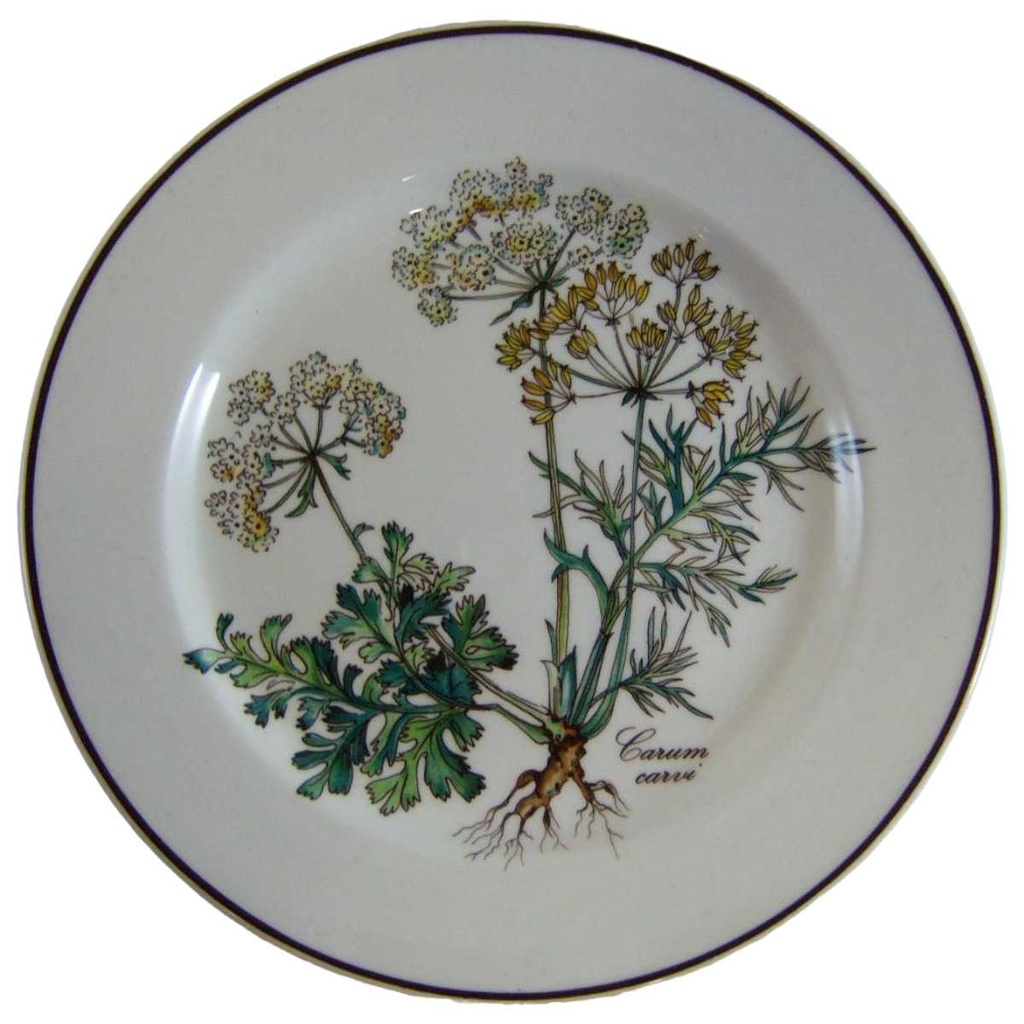 [161025165] Brotteller 17 cm Villeroy & Boch Botanica I.Wahl gebraucht - sehr gut