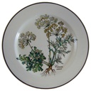 Brotteller 17 cm Villeroy & Boch Botanica I.Wahl gebraucht - sehr gut