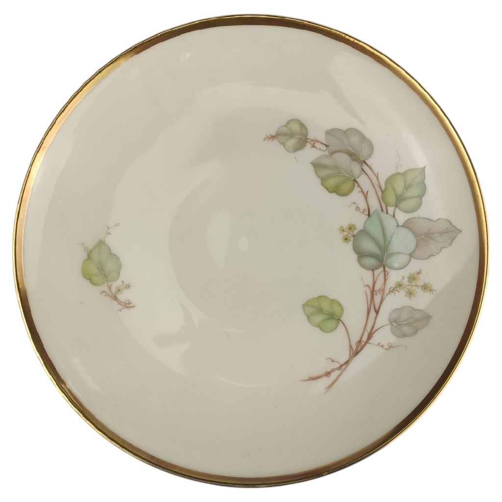 Teller Snackteller 19,2 cm Hutschenreuther Hohenberg Dekor 02753 gebraucht - sehr gut