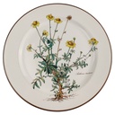 Speiseteller Essteller 26,5 cm Villeroy & Boch Botanica II.Wahl Anthemis tinctoria II. Wahl