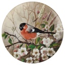 Wandteller 19,8 cm Tirschenreuth Unsere kleine Vogelwelt Dompfaff zwischen Kirschblüten gebraucht - neuwertig