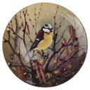 Wandteller 19,8 cm Tirschenreuth Unsere kleine Vogelwelt Blaumeise im Frühling gebraucht - neuwertig
