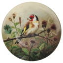 Wandteller 19,8 cm Tirschenreuth Unsere kleine Vogelwelt Distelfink auf dem Zweig gebraucht - neuwertig