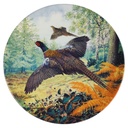 Wandteller Royal Grafton Game Bird Collection Pheasants in Flight gebraucht - neuwertig