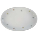 Fleischplatte 28x18,4 cm Seltmann Weiden Liane Rautendekor 23559 gebraucht - gut