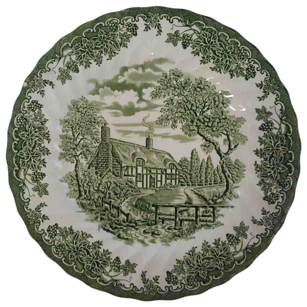 [45811179] Speiseteller Essteller 25,5 cm Myott The Brook Grün