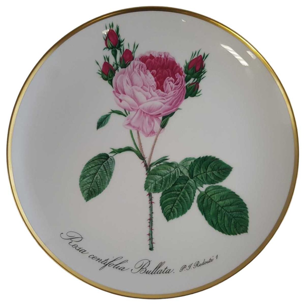 [45811359] Wandteller Hutschenreuther P.J.Redoute aus dem Rosarium von Malmaison gebraucht - sehr gut