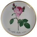 Wandteller Hutschenreuther P.J.Redoute aus dem Rosarium von Malmaison gebraucht - sehr gut