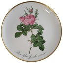 Wandteller Hutschenreuther P.J.Redoute aus dem Rosarium von Malmaison gebraucht - sehr gut