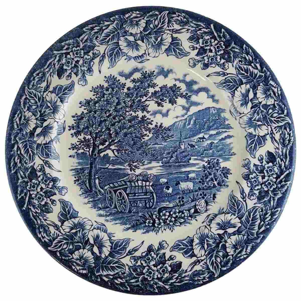 Speiseteller Essteller Teller Flach D 25 cm Ironstone gebraucht-gut