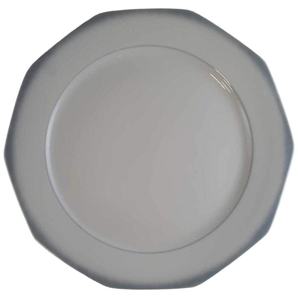 Speiseteller Essteller 24 cm Winterling Marktleuthen Grauer Rand gebraucht - gut
