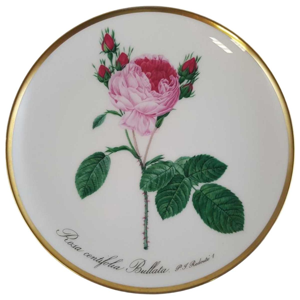 Wandteller Hutschenreuther P.J.Redoute aus dem Rosarium von Malmaison gebraucht - sehr gut