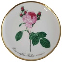 Wandteller Hutschenreuther P.J.Redoute aus dem Rosarium von Malmaison gebraucht - sehr gut