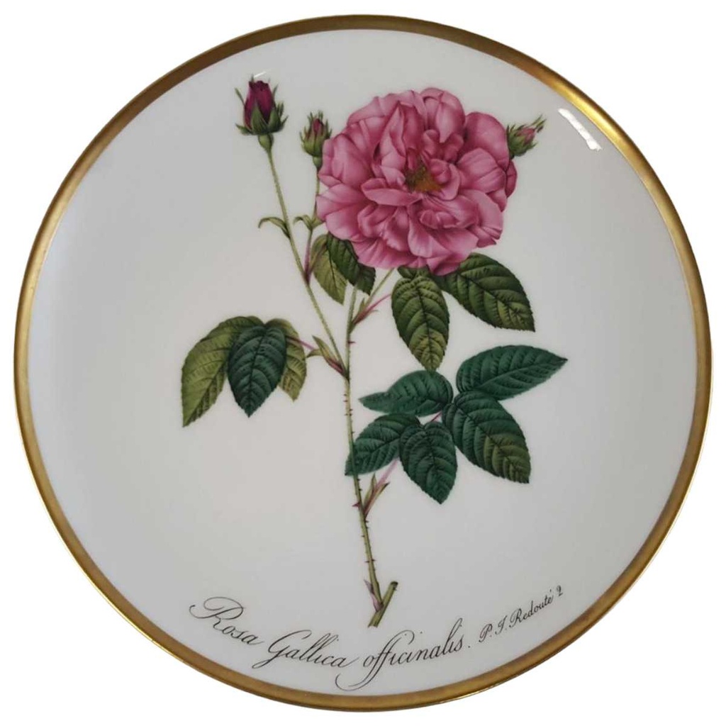 Wandteller Hutschenreuther P.J.Redoute aus dem Rosarium von Malmaison gebraucht - sehr gut
