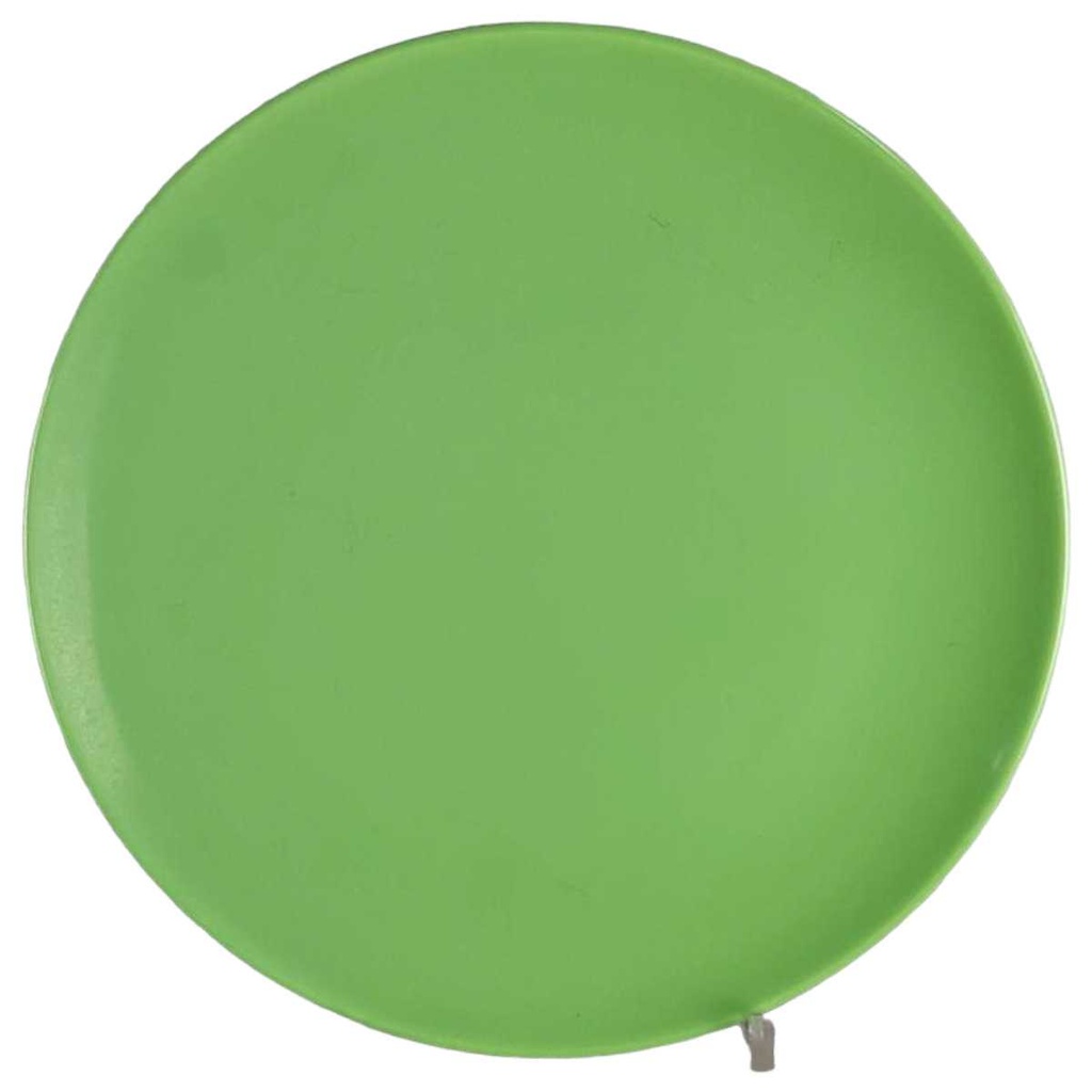 Speiseteller Essteller 25,7 cm Friesland Melitta Grün gebraucht - gut