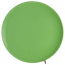 Speiseteller Essteller 25,7 cm Friesland Melitta Grün gebraucht - gut