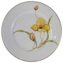 Kuchenteller Dessertteller Frühstücksteller 19,4 cm Rosenthal Selb Gelbe Blumen Gelb gebraucht - neuwertig