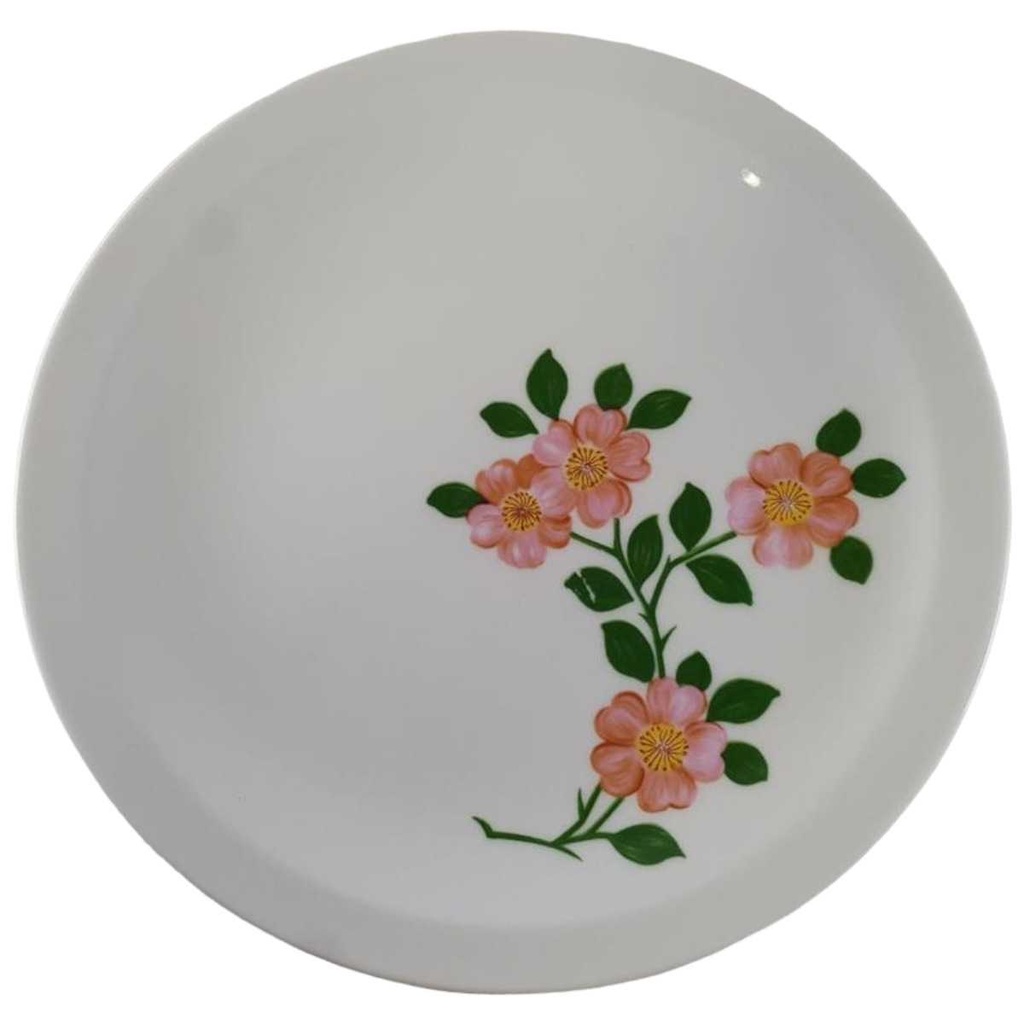Kuchenteller Dessertteller Frühstücksteller 20 cm Bareuther Waldsassen Rosa Blüten gebraucht - akzeptabel