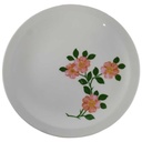 Kuchenteller Dessertteller Frühstücksteller 20 cm Bareuther Waldsassen Rosa Blüten gebraucht - akzeptabel