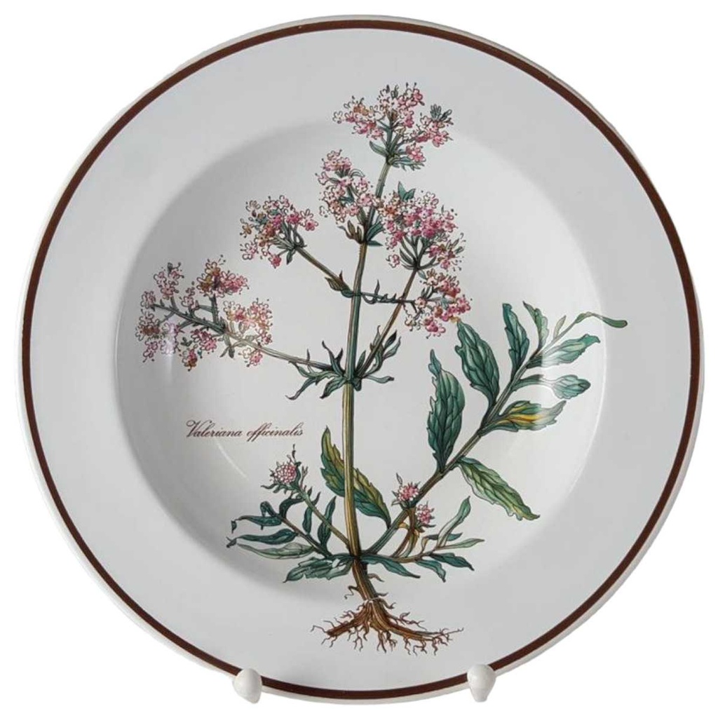 [45812830] Suppenteller 22,2 cm Villeroy & Boch Botanica gebraucht - gut