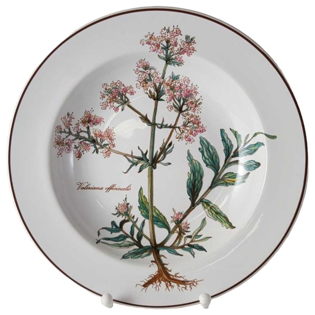 [45812832] Suppenteller 22,2 cm Villeroy & Boch Botanica gebraucht - sehr gut