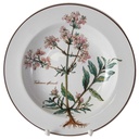Suppenteller 22,2 cm Villeroy & Boch Botanica gebraucht - sehr gut