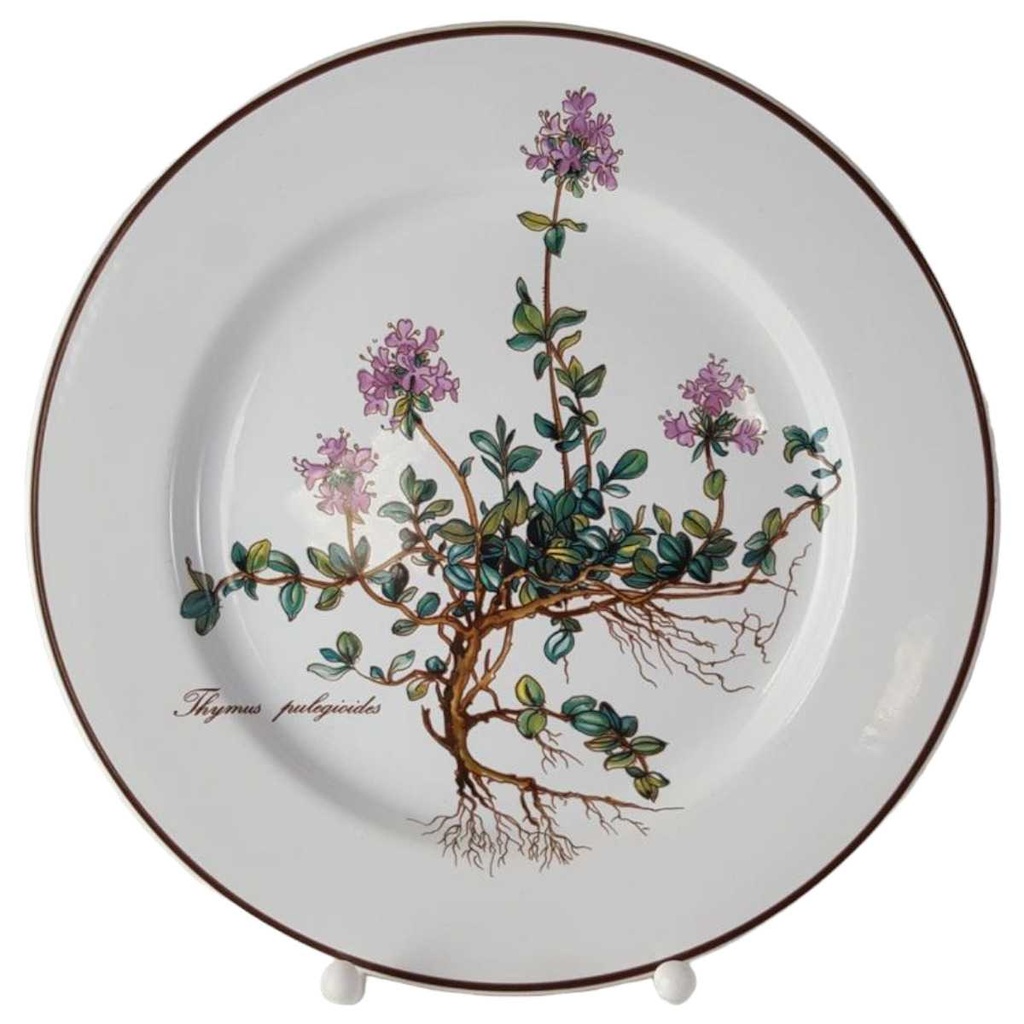 Kuchenteller Dessertteller 21 cm Villeroy & Boch Botanica