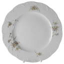 Speiseteller Essteller 26 cm Rosenthal Monbijou grüne Ranke gebraucht - gut