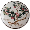 Bonboniere Villeroy & Boch Botanica Vaccinium vitis idaea gebraucht - sehr gut