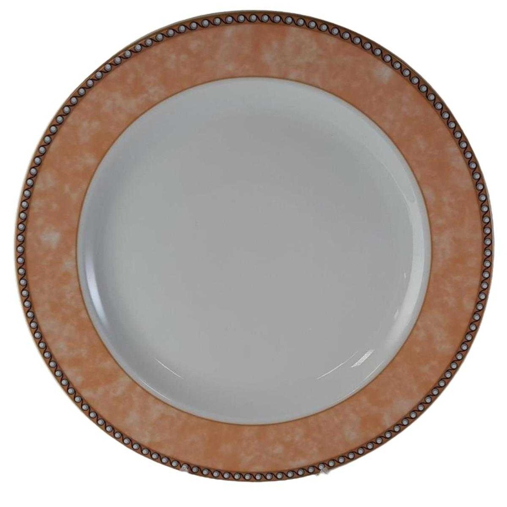 [45813231] Speiseteller Essteller 24,8 cm Retsch Wunsiedel Bunter Rand gebraucht - gut