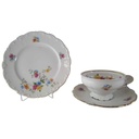 Teetasse Tasse Teegedeck Goldrand 3tlg Schirnding Bavaria bunte Blumen gebraucht - akzeptabel