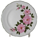 Kuchenteller 19,4 cm Winterling Kirchenlamitz Wildrose gebraucht - gut