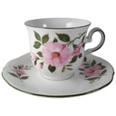 Kaffeetasse mit Untertasse Tasse Winterling Kirchenlamitz Wildrose