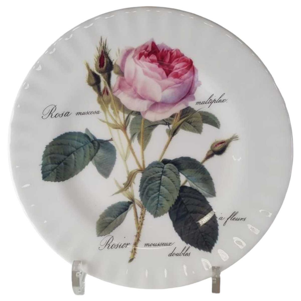 [45813818] Kuchenteller 20,7 cm Roy Kirkham Redoute Roses England gebraucht - gut