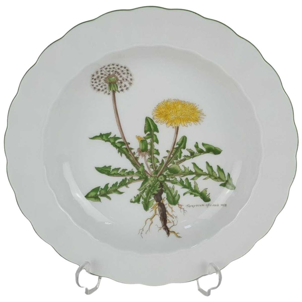 Suppenteller Teller 21,7 cm Eschenbach Bayreuth Botanica gebraucht - gut