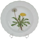 Suppenteller Teller 21,7 cm Eschenbach Bayreuth Botanica gebraucht - gut