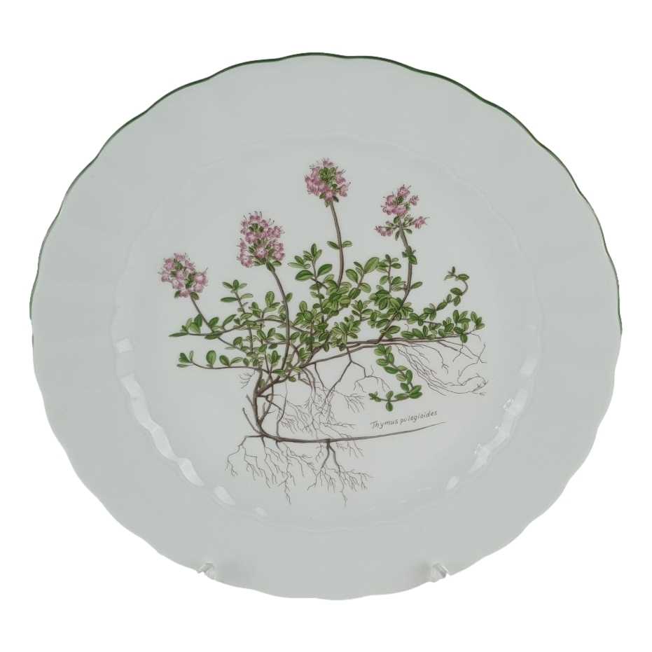 [458139042] Speiseteller Essteller 24 cm Eschenbach Bayreuth Botanica gebraucht - gut