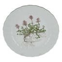 Speiseteller Essteller 24 cm Eschenbach Bayreuth Botanica gebraucht - gut