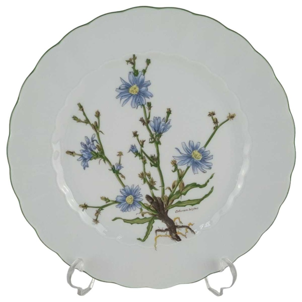 [458139046] Kuchenteller Dessertteller 19,3 cm Eschenbach Bayreuth Botanica gebraucht - gut