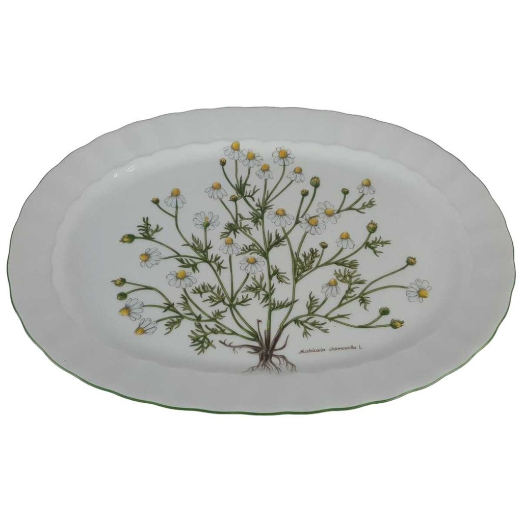 [458139048] Fleischplatte 33x23,7 cm Eschenbach Bayreuth Botanica gebraucht - gut