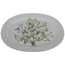 Fleischplatte 33x23,7 cm Eschenbach Bayreuth Botanica gebraucht - gut