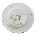 Kuchenteller Dessertteller Goldrand 18,9 cm Schirnding Bavaria Blumendekor Blumen gebraucht - gut