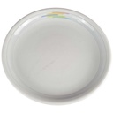 Speiseteller Essteller 26 cm Thomas Porzellan Trend Candy gebraucht - akzeptabel
