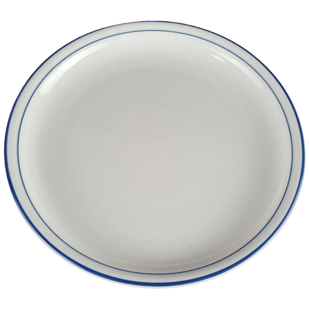 [458140639] Speiseteller Essteller 25,8 cm Thomas Porzellan Trend Circle Line Blauer Rand gebraucht - gut